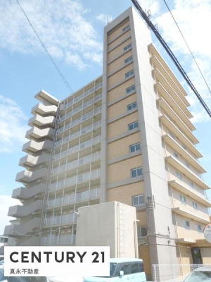 ���̑����n -