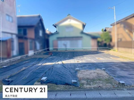 ���n�y�n�ʐ^ -