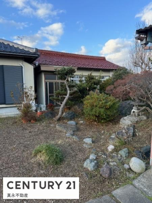 ���̑����n -