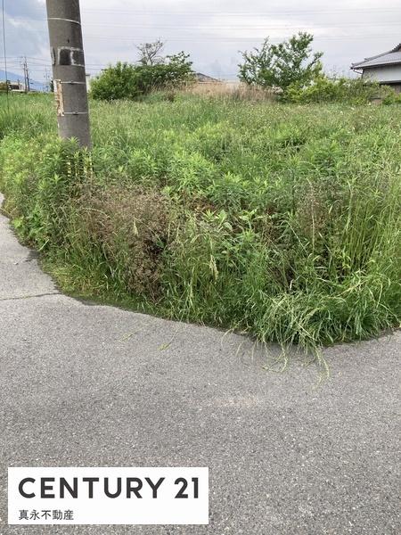 ���n�y�n�ʐ^ �ڂ�������������]�̕��͂��ГX���ւ��z�����������I