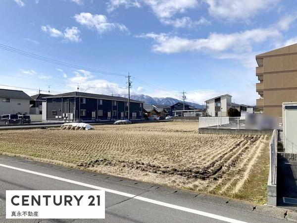 ���n�y�n�ʐ^ -