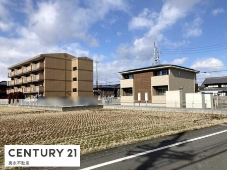 ���n�y�n�ʐ^ -