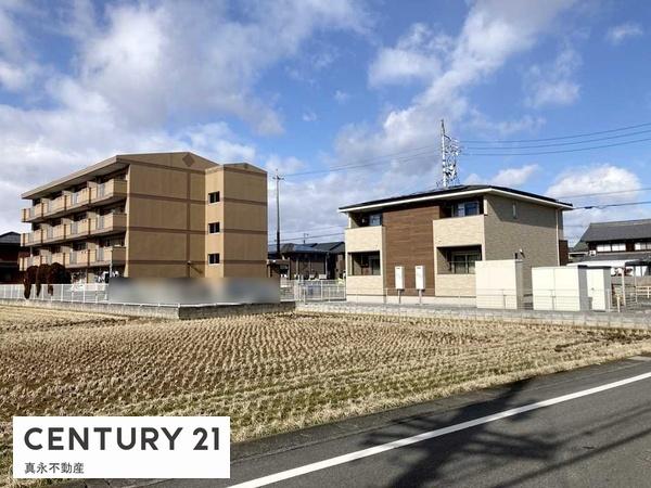 ���n�y�n�ʐ^ -