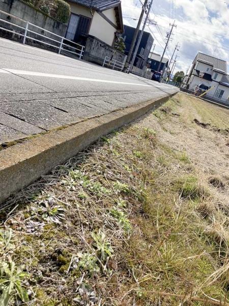 ���̑����n -