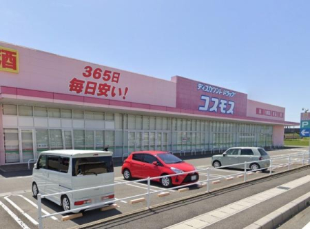 ���ӊ� �y�h���b�O�X�g�A�z�f�B�X�J�E���g�h���b�O�R�X���X�����X�F1428�u