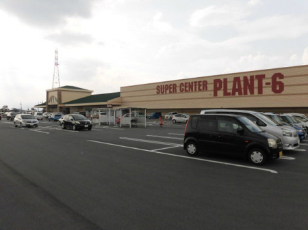 ���ӊ� �y�X�[�p�[�zSUPER�@CENTER�@PLANT�|6����X�F1011�u