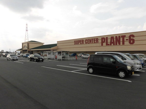 ���ӊ� �y�X�[�p�[�zSUPER�@CENTER�@PLANT�|6����X�F1011�u
