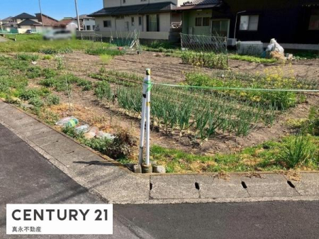 ���n�y�n�ʐ^ -