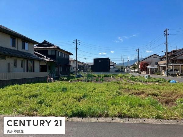 ���n�y�n�ʐ^ -