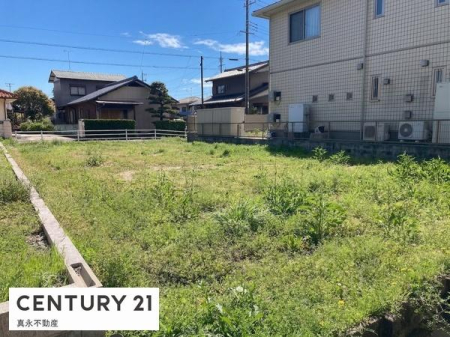 ���n�y�n�ʐ^ -