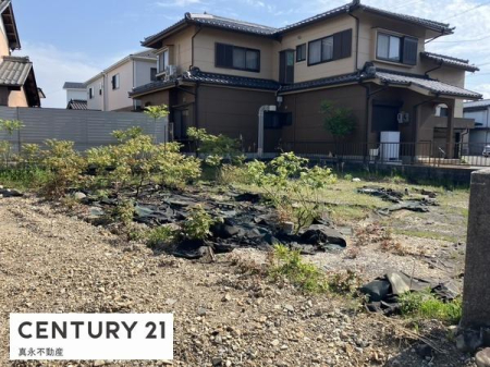 ���n�y�n�ʐ^ -