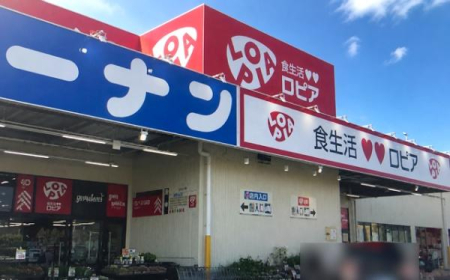 ���ӊ� �y�X�[�p�[�z���s�A��_�X�F229�u